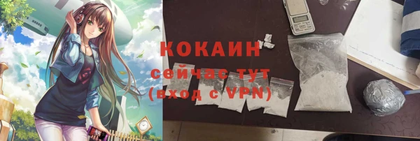 mdpv Богородск