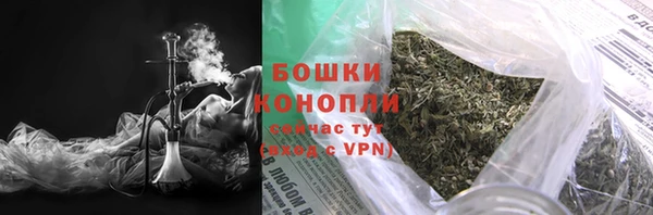 spice Богданович