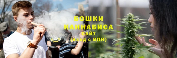 spice Богданович