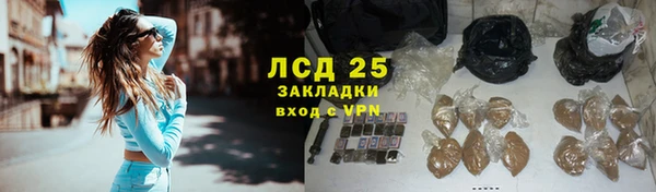 spice Богданович