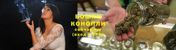 mdpv Богородск