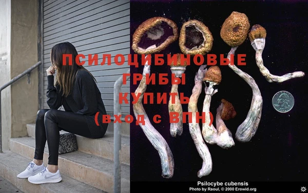 СК Приозерск