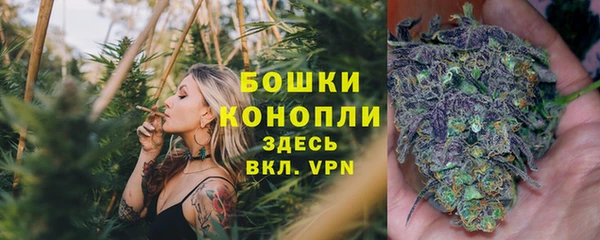 синтетический гашиш Богородицк