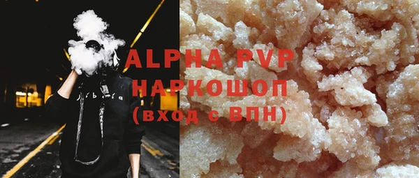 spice Богданович