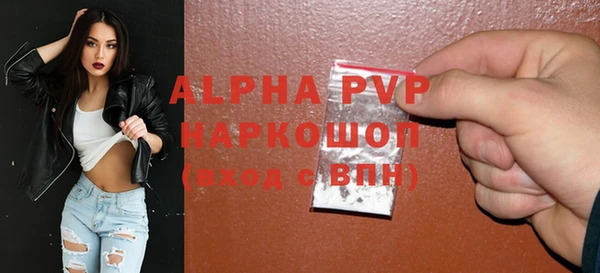 spice Богданович